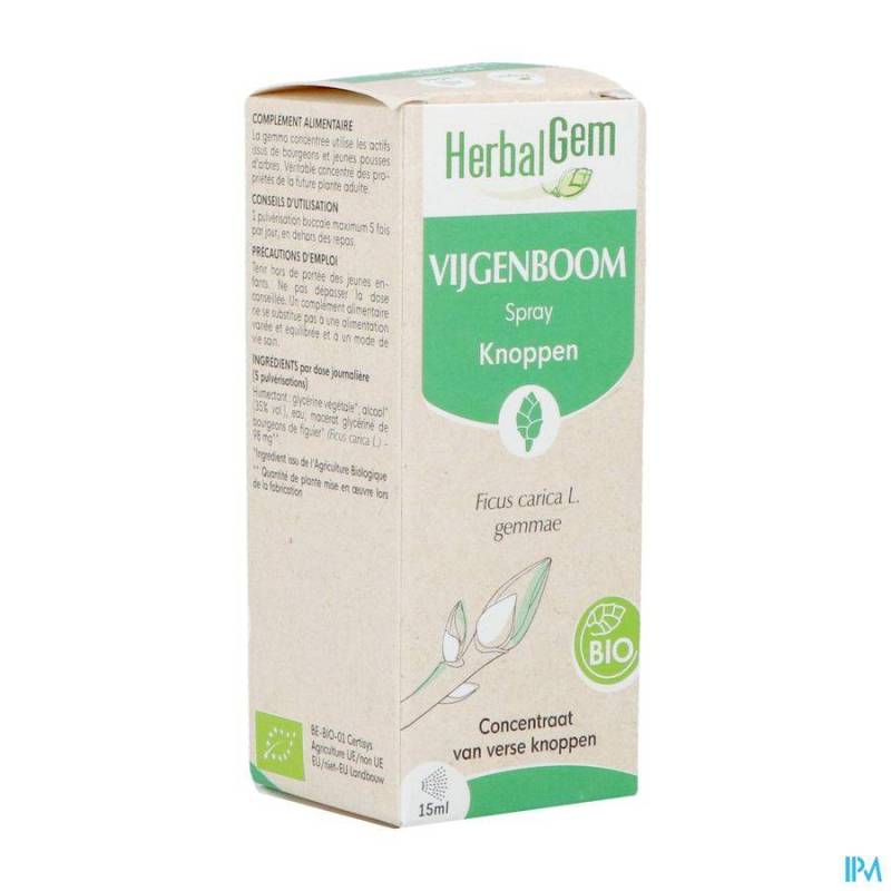 HERBALGEM VIJGENBOOM SPRAY         15ML