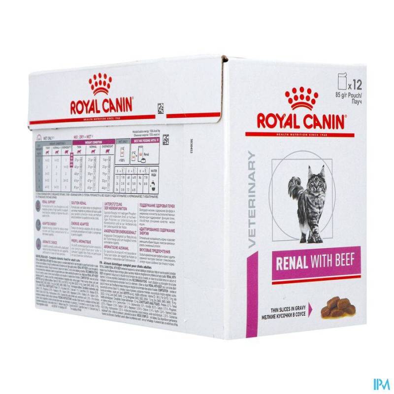 ROYAL CANIN CAT BEEF POUCH WET 12X85G